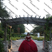 IMG 2654