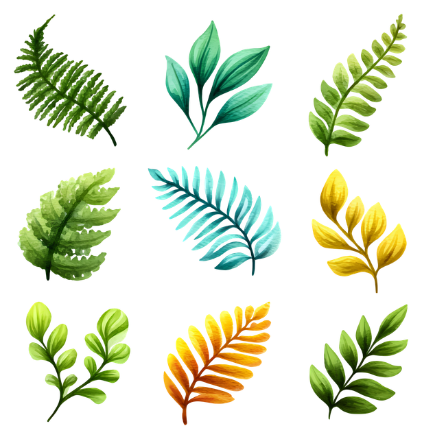 ffde9b4fd8817b39d62779e14b3723c7.png