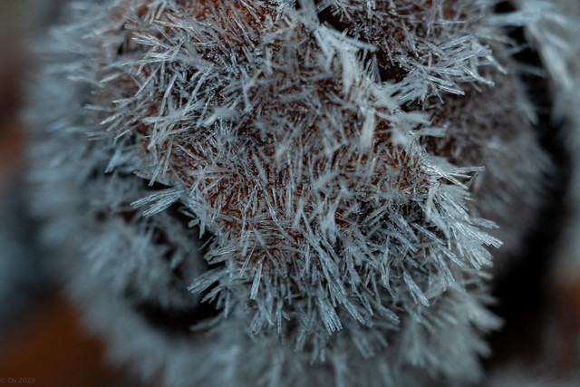 L1030298