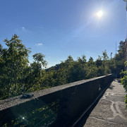 IMG-1935