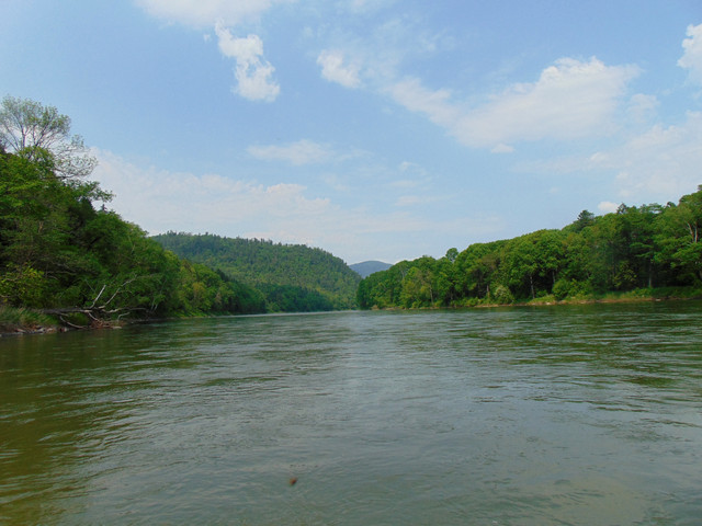 DSC05744.jpg