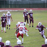 IMG-2998