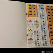 IMG-4635