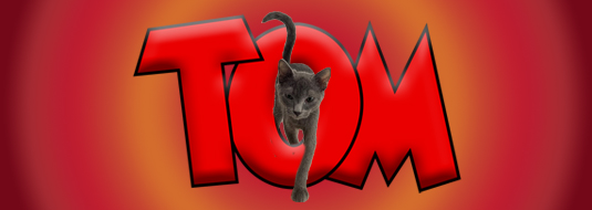 [Imagen: TOM.jpg]