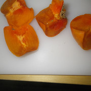 IMGP0439