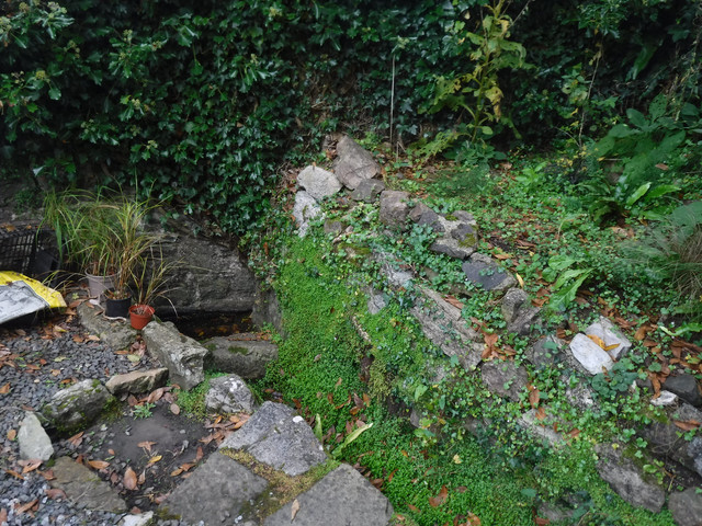 DSCF5527.jpg