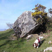 072a-Limestone-Boulder