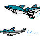 dolfins