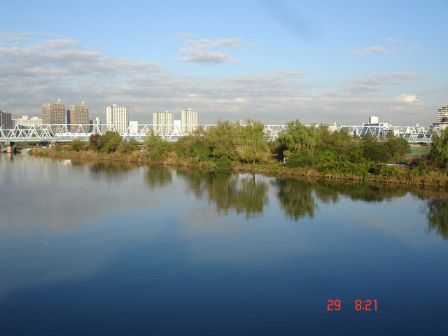 2008-11-29-194.jpg
