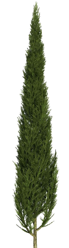 702-I4l-YHx-R9-E.png