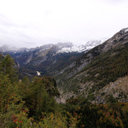 IMG-0247