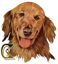 c.gif