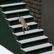 image024