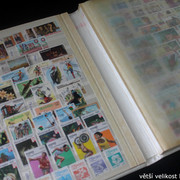 IMG-3750