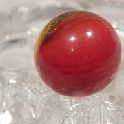 DSCN0494