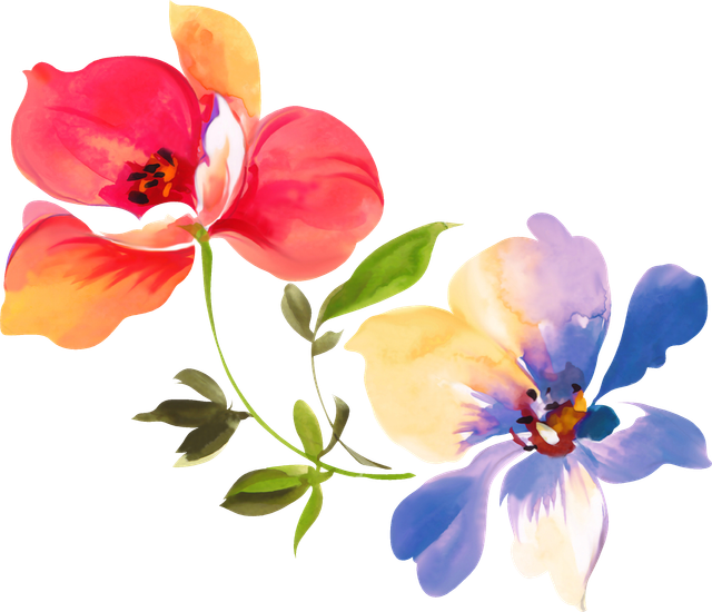 cac22341935a2f845e569ce0a93678e8.png