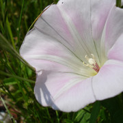 2010-06-05-064