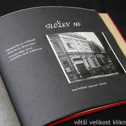 IMG-7591