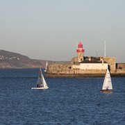 IMGP6875