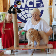 IMG 5823