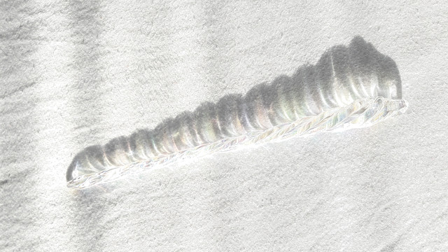 20241105-134648.jpg