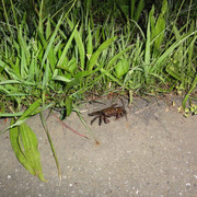 2011-06-29-09