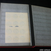 IMG-3299