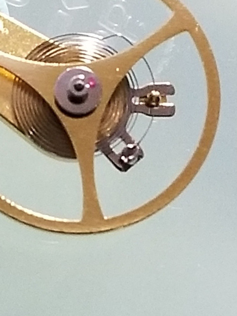 15623772051592