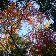 IMG-20221215-130124