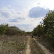 IMG-20221009-145030