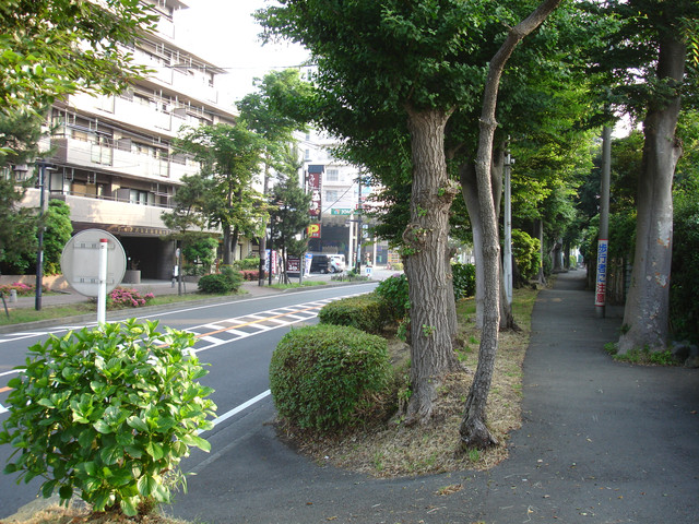 2010-06-12-149