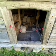 IMG-1527