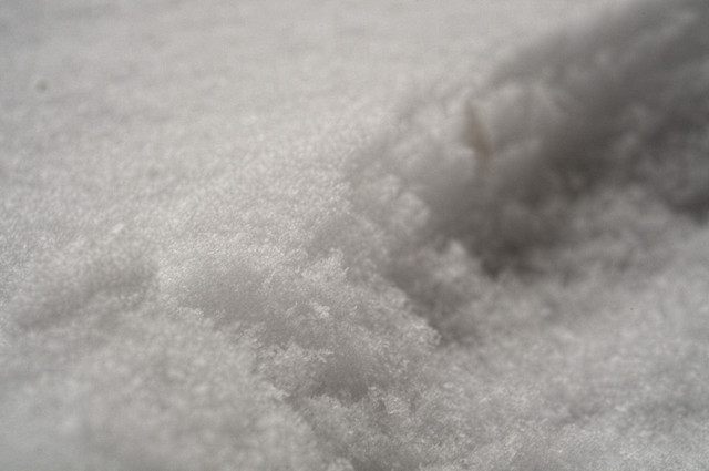 footstep-winter