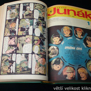 IMG-2421