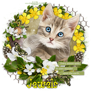 Jewels-4318-F