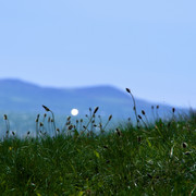 IMGP4396