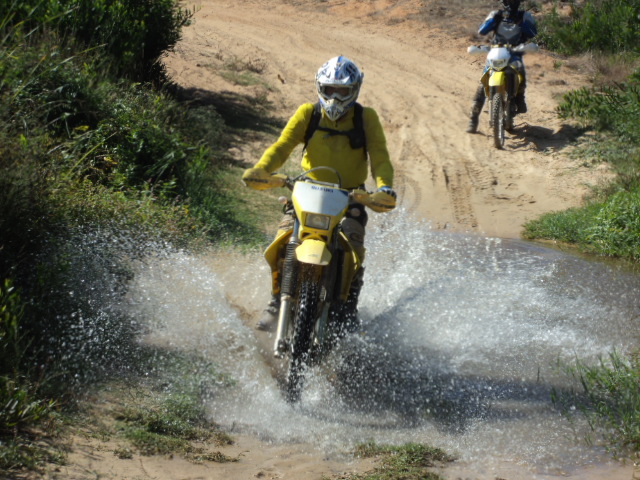 DSC00253.jpg