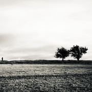 DSC-3833c