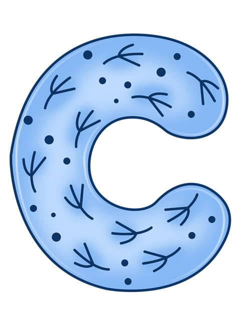 0-6f3d7-bec835aa-XXL