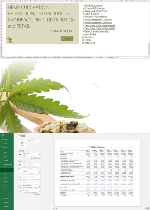 hemp cbd business plansample.jpg