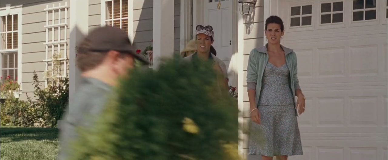 Fun with Dick and Jane Screenshot