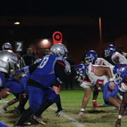 IMG-0317
