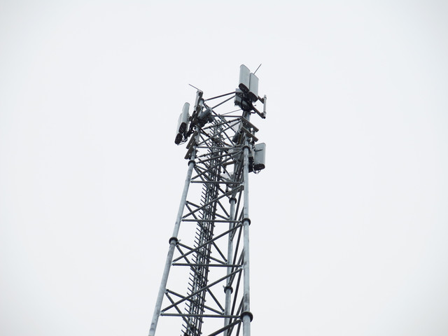 IMG-4704