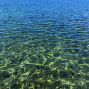 IMG-4186