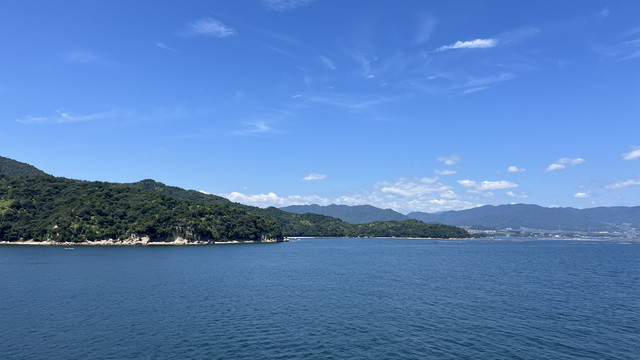 IMG-6449