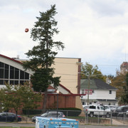 IMG-0403