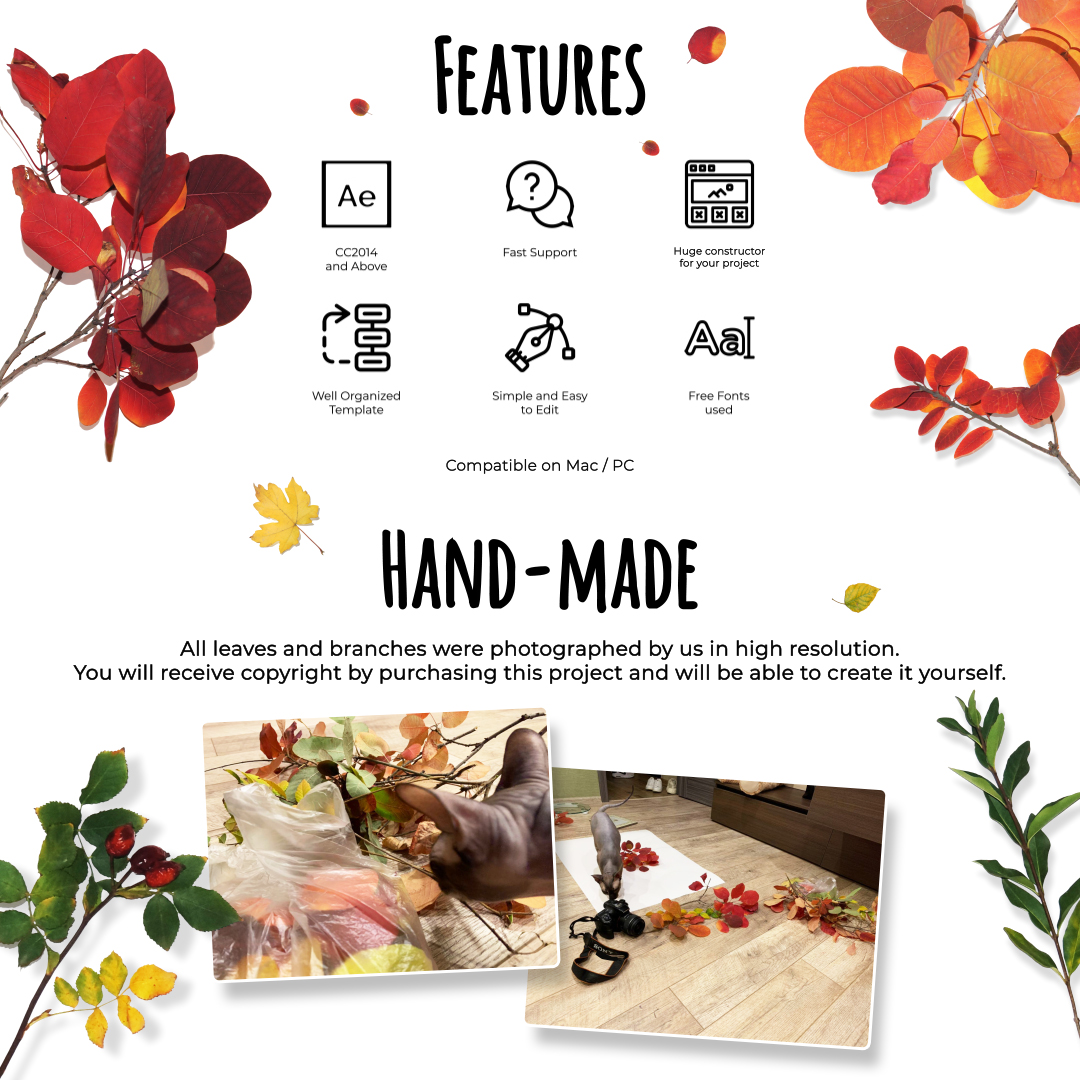 Autumn Leaves Pack - 1
