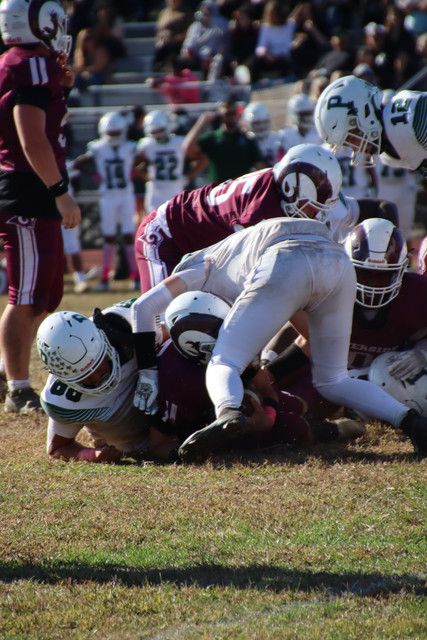 IMG-4625.jpg