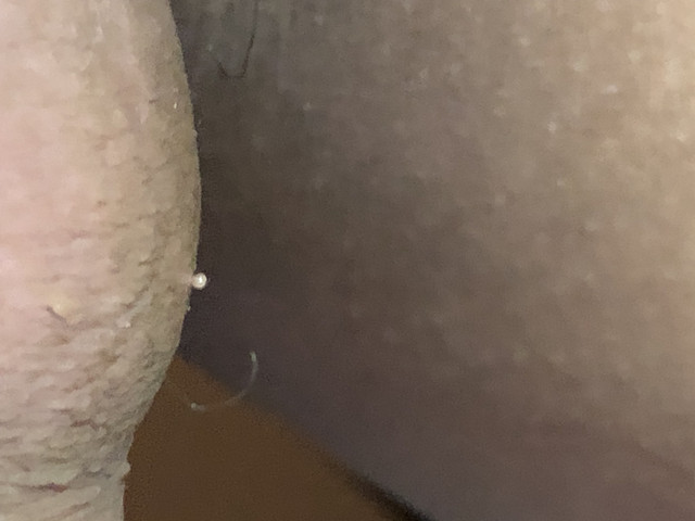 IMG 1104