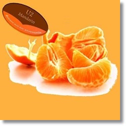 cover-26.jpg